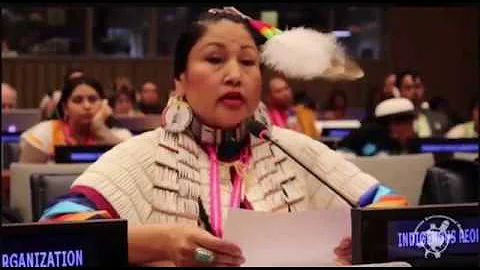 UN Declaration on the Rights of Indigenous Peoples