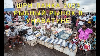 ШРИ-ЛАНКА 2023: УНАВАТУНА: РЫБНЫЙ РЫНОК ЧТО ПОЧЁМ?