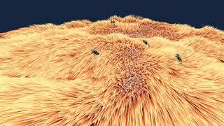 Unity Grass Shader
