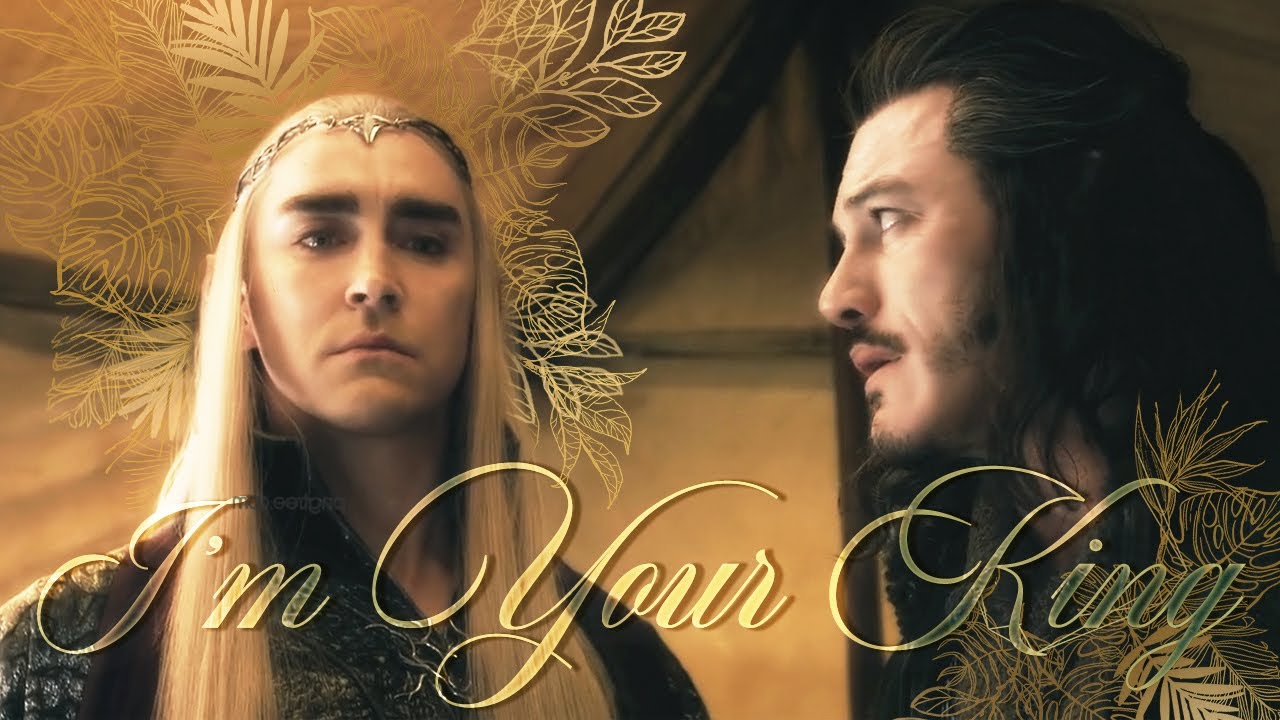 Barduil || I'm Your King