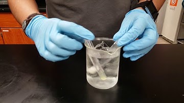 Lactase enzyme lab at 0°C