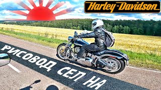 Первые впечатления Harley-Davidson Softail Deuce 2003. #harley #cruiservibe