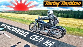 видео: Первые впечатления Harley-Davidson Softail Deuce 2003. #harley #cruiservibe картинка: Первые впечатления Harley-Davidson Softail Deuce 2003. #harley #cruiservibe