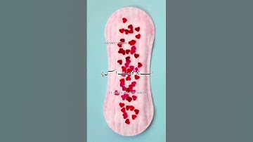 Wo Kaun Si Taklif Ke Lie Hazrat Ayesha R. A Ne Allah Ke Nabi Se Sawal Kia | Islamic Whatsapp status