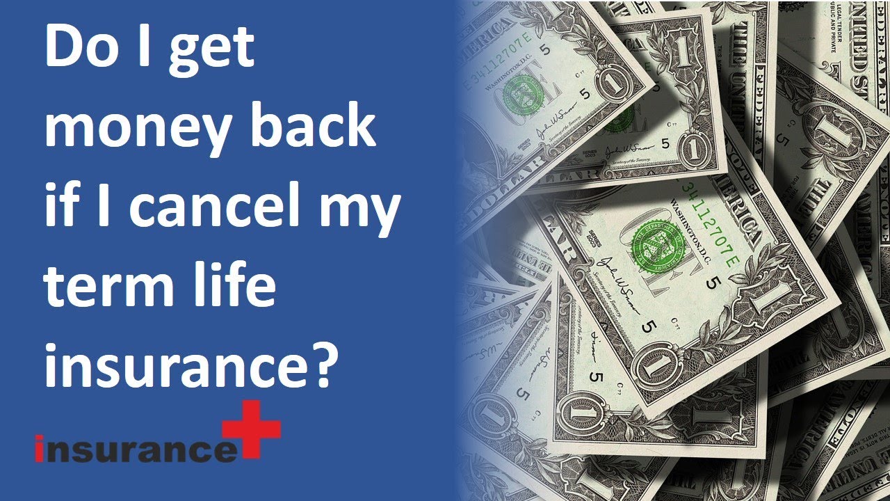 do-i-get-money-back-if-i-cancel-my-term-life-insurance-youtube