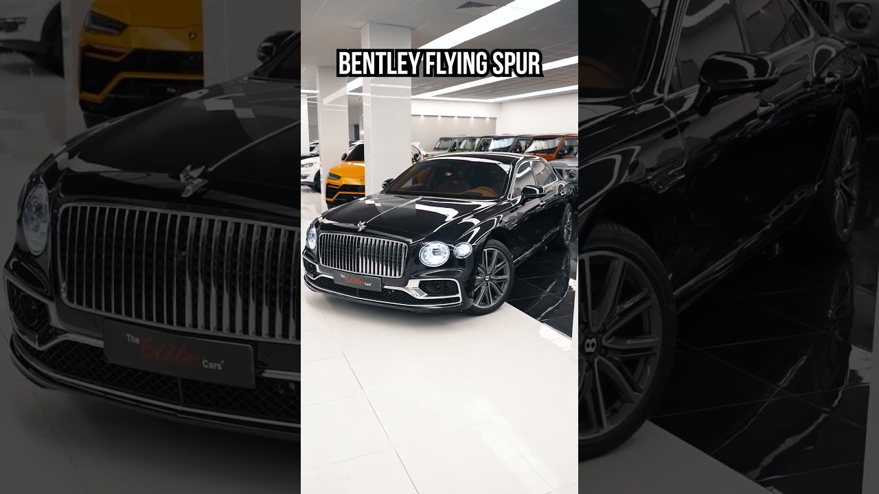 The $1,000,000 Luxury Car Collection!