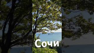 Сочи #сочи #море #красота #осень