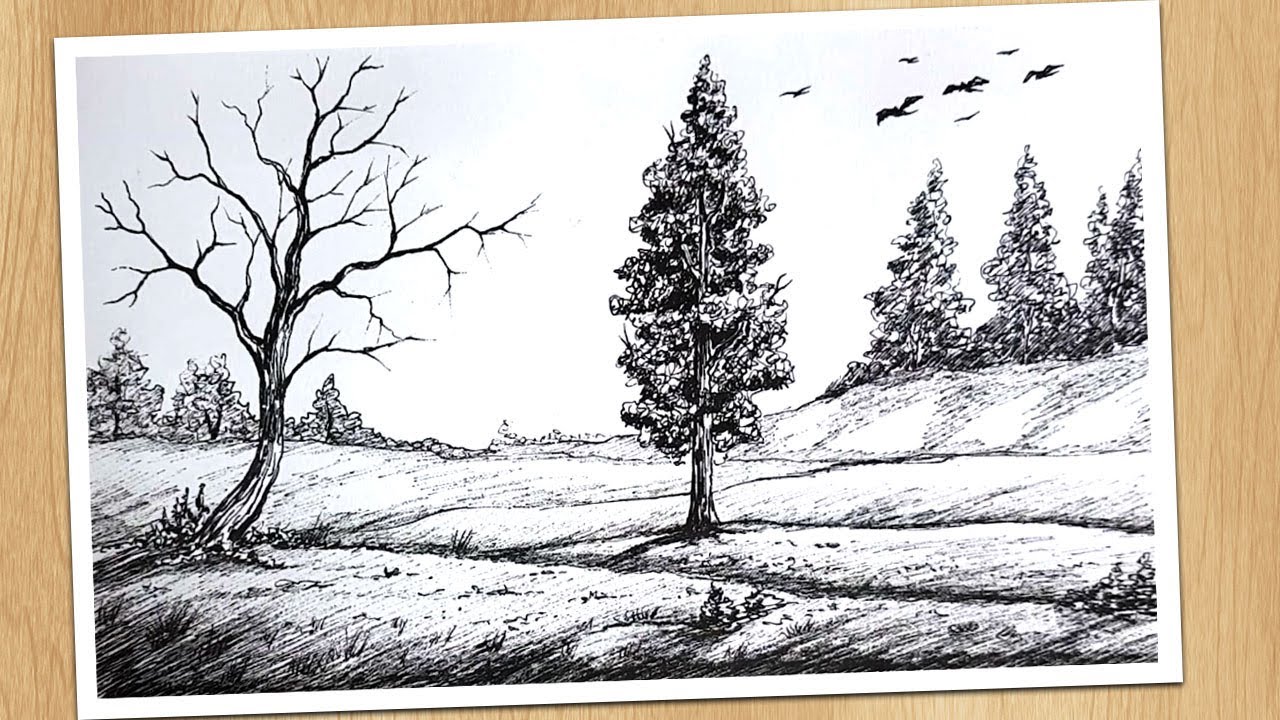 How To Draw Trees With Pen Pencil Drawing for beginners - step by 
