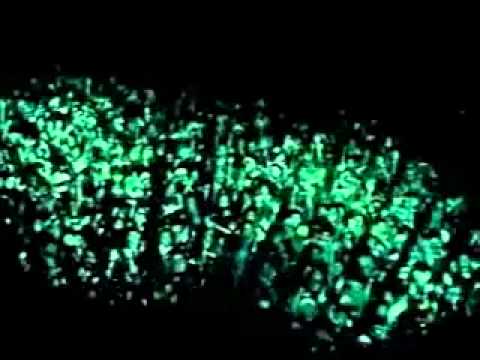 電気グルーヴ NIJI