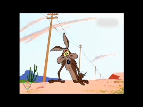 wile-e-coyote-fails-to-catch-roadrunner-top-5-funniest-moments