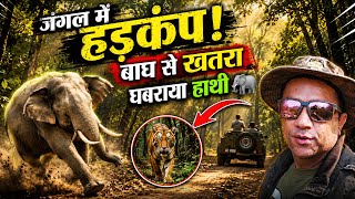 AmanGarh Tiger Reserve | Jungle Safari 2026 | Jim Corbett of Uttarpradesh | Jeep Safari Amangarh