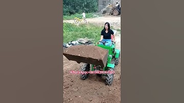 Household agricultural small loader. #Loader #SmallLoader #Forklift #MadeinChina