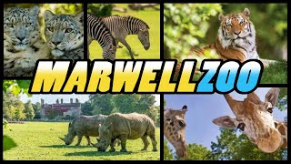 MARWELL ZOO - Winchester - Hampshire - England (4K)