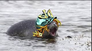 YAMERO WRRRYYYYYYYYYYYYYY