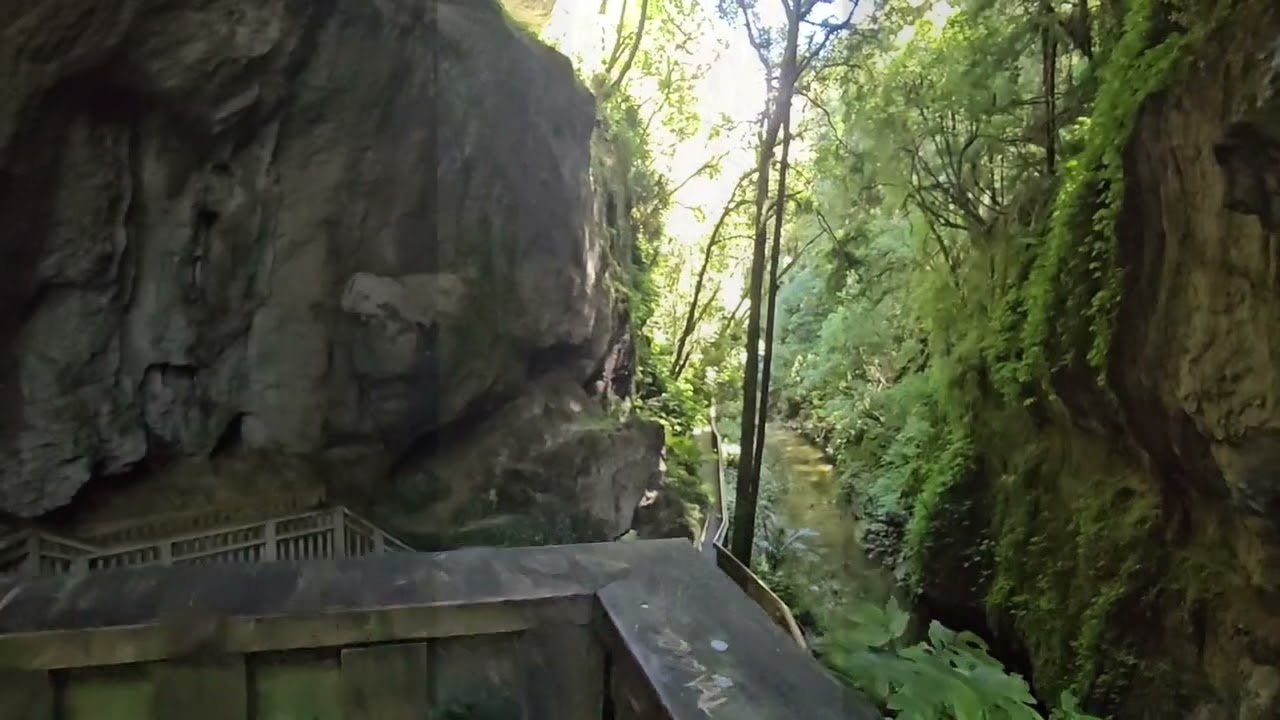 Mangapohue Natural Bridge