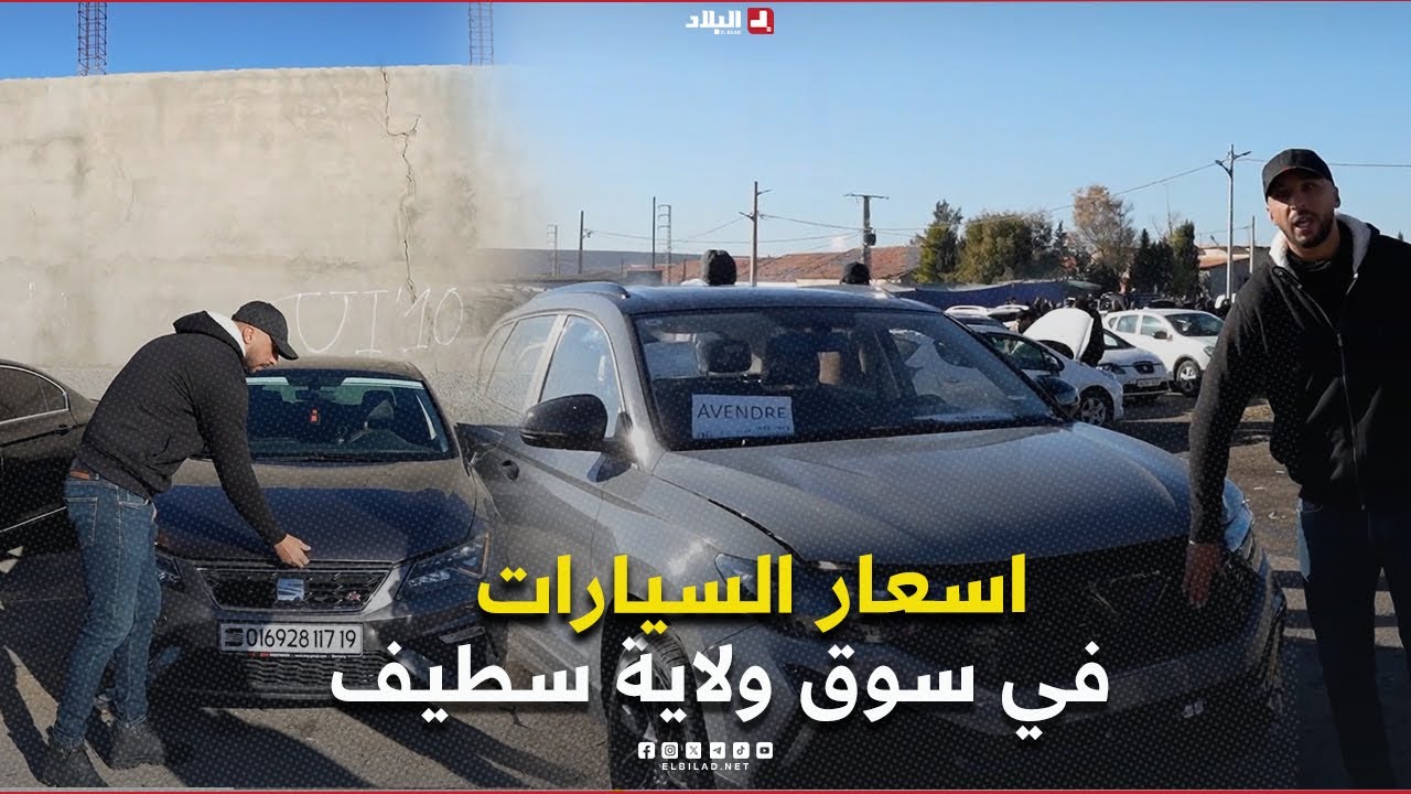 |AutoVortex  اسعار السيارات في سوق ولاية سطيف