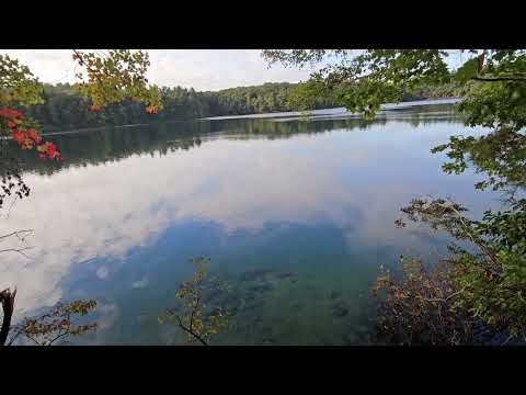 Capa de A Meditative Walk at Walden Pond