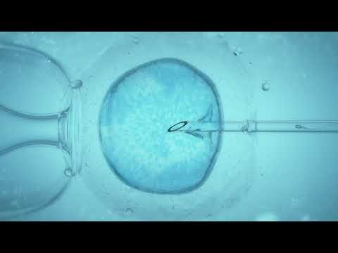Video: Skillnaden Mellan IVF Och Surrogacy