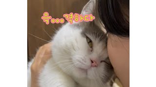 애정표현은 적당히...^^;; Too much LOVE