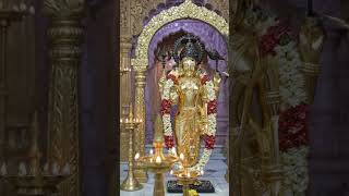 तिरुपति बालाजी 🙏🙏 #trending #hindugod #tirupati #perumal #venkatesh #tirumala #devotionalsongs