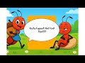 النملة المجتهدة والنملة الكسلانة قصص أطفال 