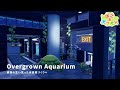 【ぽこあポケモン】火山灰大量消費の水族館内装づくり🐟 | うみべの街 | Overgrown Aquarium Build【建築】