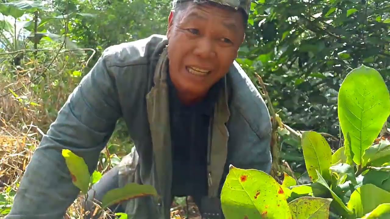 POBRENG HUNTER LIFE,: ALAGA SA MGA ASO, ALAGA SA KALIKASAN