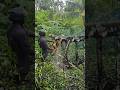 #rain #woodcutting 💞💞💞