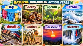 Action Verbs for Things That Happen Naturally | Visual English Vocabulary screenshot 5