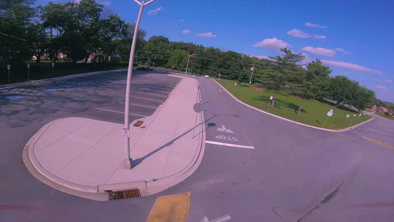59 ft tape worm 59 ft tape worm
