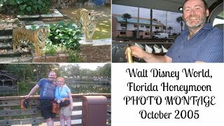 Walt Disney World Florida  October 2005  Honeymoon Photo Montage