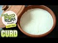 Vegan Curd Recipe - How To Make Curd Without Curd - Vegan Series By Nupur