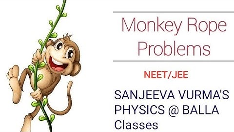 Newton’s second law: Monkey rope problems
