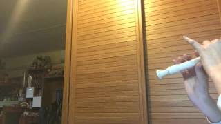 青春頌-許廷鏗 高音牧童笛