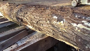 #110 loading a big oak log on a old Frick sawmill.