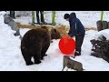 Папа Андрей с новым подарком. Медведь Мансур 🐻💞