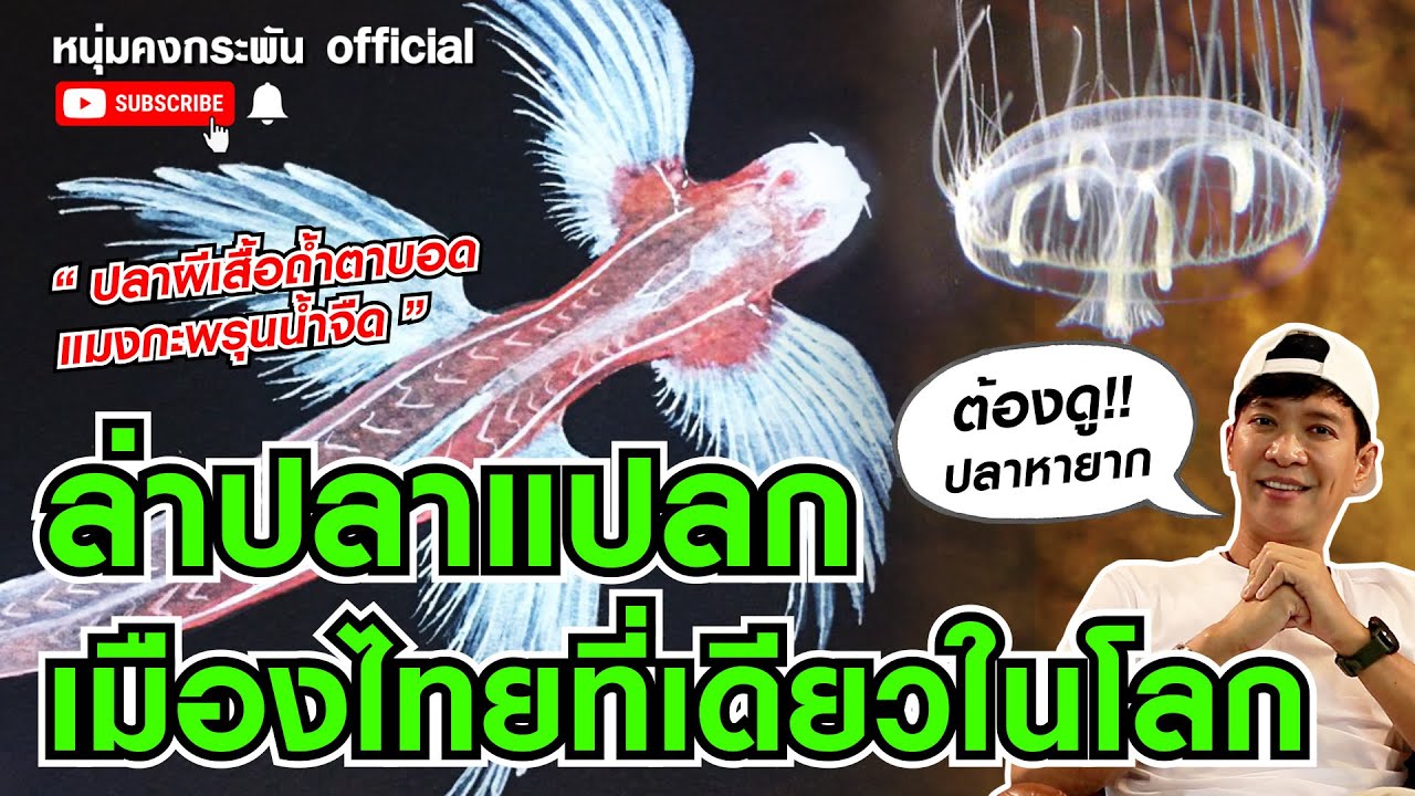 คุยไปเล่าไป the story | ล่าปลาแปลกเมืองไทย ที่เดียวในโลก