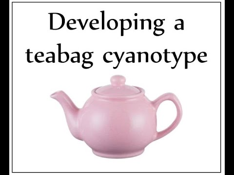 Teabag + Cyanotype Kit