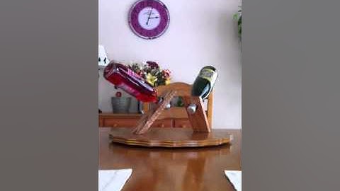 LittleWhiners balancing on Lazy Susan