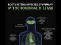 Mitochondrial Disease Body Scan