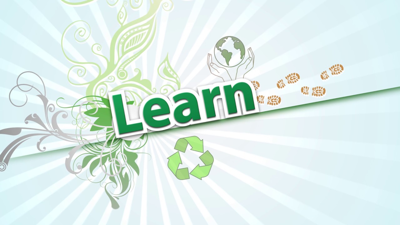 Eco Fun Festival 2017