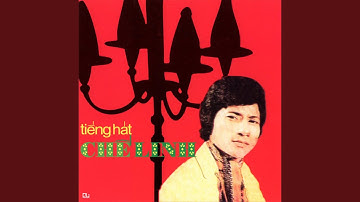 Một Lần Hiện Diện