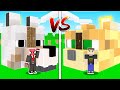 KÖPEK EV VS KEDİ EV! 🐶🐈 - Minecraft