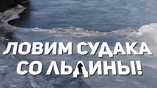 РАЗДАЧА СУДАКА по последнему льду! Рыбалка в Астрахани. Зима, февраль. РАЗДАЧА СУДАКА по последнему льду! Рыбалка в Астрахани. Зима, февраль.