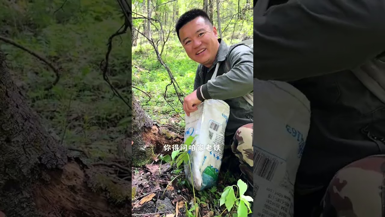 看看我一天的收获是多少吧#2024新农人计划 #大自然的馈赠 #山野菜