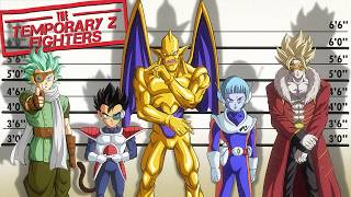 The Temporary Z Fighters