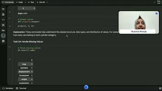 MIS210 Python EDA Video Assignment