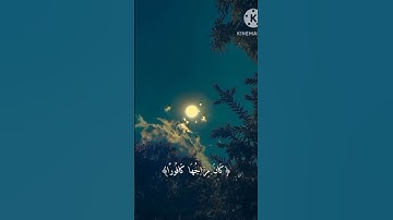 #تلاوة قرآن بصوت المنشاوي