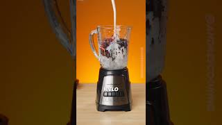 Hamilton Beach Power Elite Wave Action (Model 58148A) #blenderreview