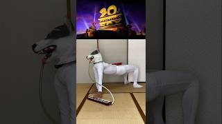 Dogs Playing 20Th Century Fox